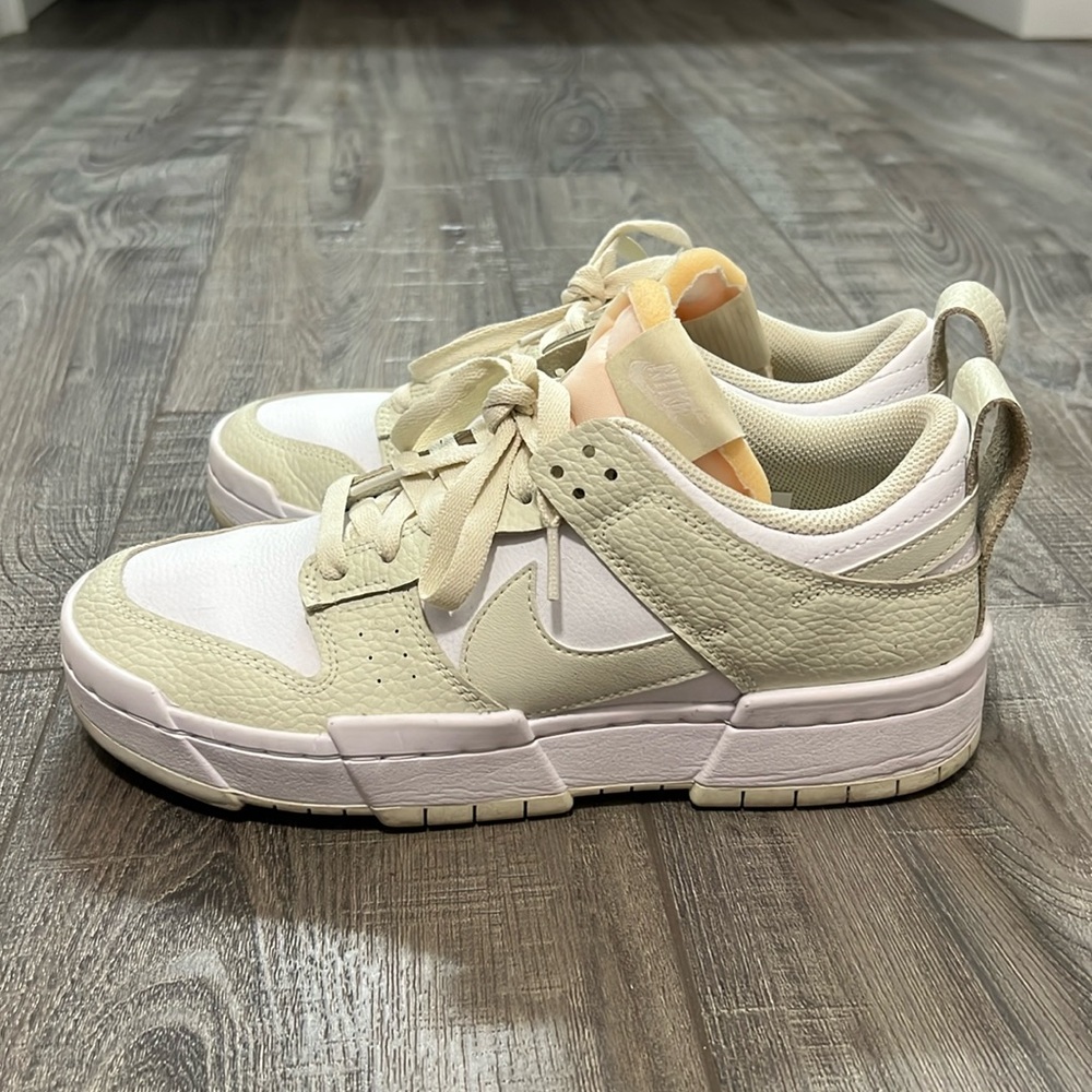 Nike dunk disrupts